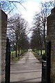 Tree Lined Path, Hillsborough Park, Sheffield in S6 2DF