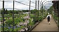 Walkway in Trentham Gardens in ST4 8LH
