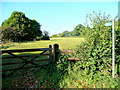 Footpath across fields in GL19 3JS