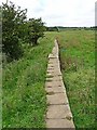 St Oswald's Way near Westhall Farm in NE70 7NX