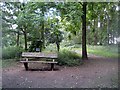 Newmillerdam Country Park-Arboretum (7) in WF2 6QQ