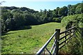 Enclosed field above the village of Dolwyd in LL28 5LB
