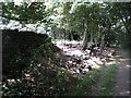 Newmillerdam Country Park- Boundary wall (1) in WF2 7SJ