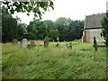 St Peter, Cransford:churchyard in IP13 9PQ