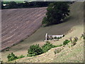 Derelict farm building below Bincombe Hill in DT3 6NL