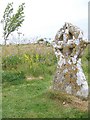 Lichen covered gravestone, St Martin's Churchyard in SP5 5HU