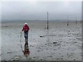 Pilgrims Way to Holy Island in Holy Island