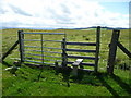 A stile on Cwmcringlyn Bank in LD1 6PU