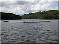 River Dart in TQ6 9QP