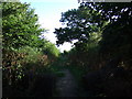 Lover's Lane, Old Hunstanton in PE36 6GA