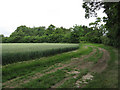 Footpath to Gatesbury's Farm in IP29 4BS