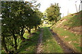 Track leading up to Ernocroft in SK6 5NU