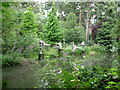 Lake at The Pride of the Valley Sculpture Park in GU10 2LH