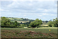 2010 : Cattle pasture north of Stanton Wick Lane in BS39 4EA