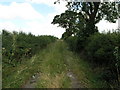Track to Saundby in DN22 9AU