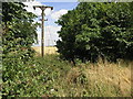 Pylons Through a Gap in DN11 8EF