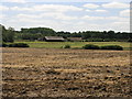Abandoned Farm in S66 7QN