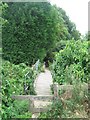Footbridge near Wingham in CT3 1BA