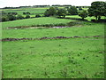 Small pond looking towards Ladymoor Farm in ST6 8UF