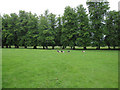 Denston Park in Denston