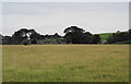 Field below Higher Chisworth in Chisworth
