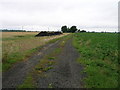 Farm track heading west off Booth Ferry Road in DN14 7SD