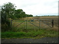 Gated farm track near Balkholme in DN14 7XH