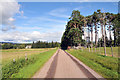 Road from Delnabo to Tomintoul in AB37 9HB