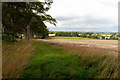 Field near Midoxgate in IV20 1RP