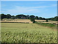 View across arable land to farm at Cawthorne in YO18 8EH