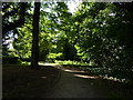 Shady Path, Beaconsfield in HP9 1LU