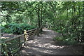 Monkey World : Woodland Path in BH20 6NT