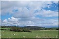 Sheep pastures at Bodwi in LL53 7SG