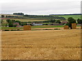Harvested field, Long Crichel in BH21 5LD