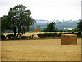 Harvested fields, Long Crichel in BH21 5LD