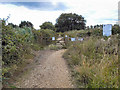 Path To Stanpit Marsh Nature Reserve in BH23 3LL