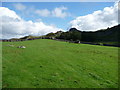 Footpath across high pastures near Bryn Brith in Arthog Community