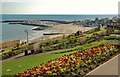 Lyme Regis: Gardens in Flower in DT7 3JW