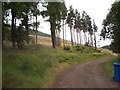 Track to Rinuden  near Ladycairn in IV3 8LB