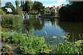 River Avon at Offenham in WR11 4NX