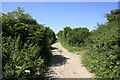Byway junction south of Tottens Down Barn in SP5 4NB