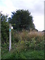 Footpath to North Park Farm, Helmingham Church & the A1120 in IP14 6EB
