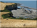 Cliffs and wheat fields near East Quantoxhead in TA4 4DZ