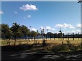 View of Canary Wharf from Mile End Park in E3 2BY