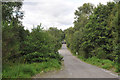 Forestry road near Torlundy in PH33 6SW