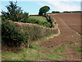Hillside above Kilve in TA5 1SR