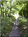 Path adjacent to the River Calder in BB7 9NY