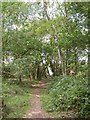 Ferndown Common, footpath in BH21 7BU