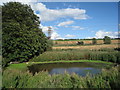 Pond near the site of Gokewell Priory Farm in DN20 0BG