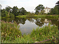 Private fishing pond just north of Adbaston in ST20 0QG